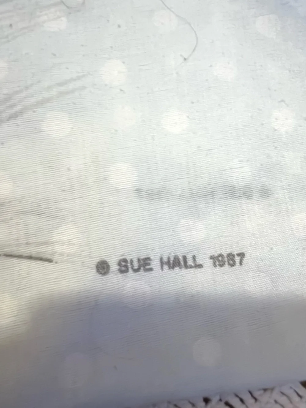 Sue hall soft light